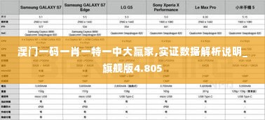 澳门一码一肖一特一中大羸家,实证数据解析说明_旗舰版4.805