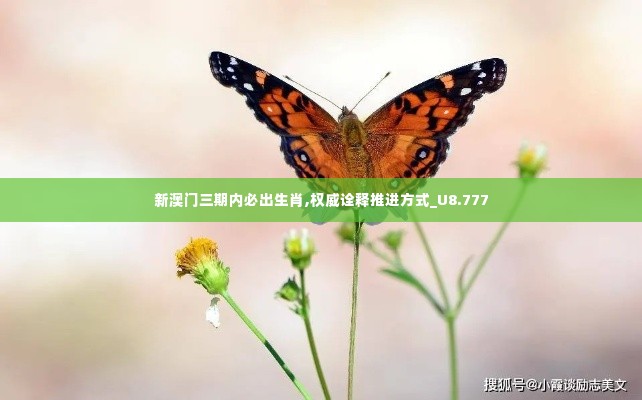 新澳门三期内必出生肖,权威诠释推进方式_U8.777