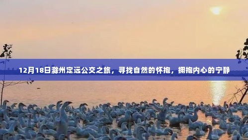 12月18日滁州定远公交之旅，探寻自然之韵，拥抱内心宁静