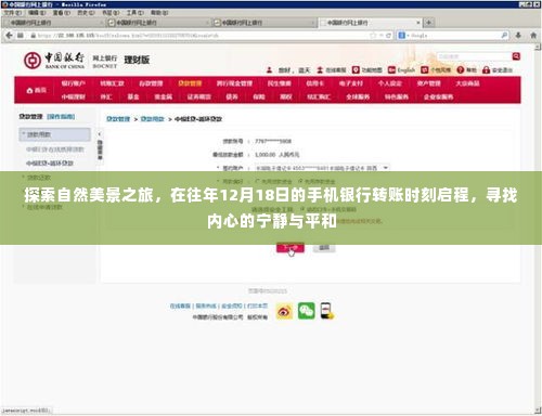 探寻自然美景之旅，手机银行转账日启程，寻找内心宁静与平和的旅程