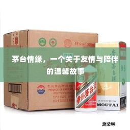 茅台情缘，友情与陪伴的温馨篇章