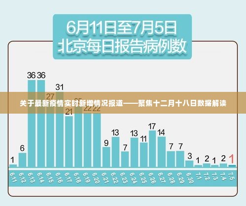 最新疫情实时更新报道，十二月十八日数据深度解读