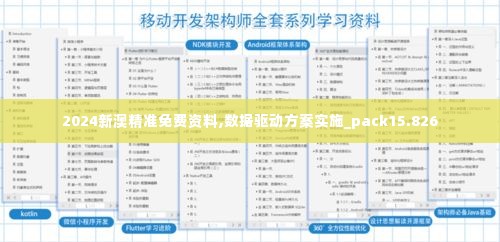 2024新澳精准免费资料,数据驱动方案实施_pack15.826