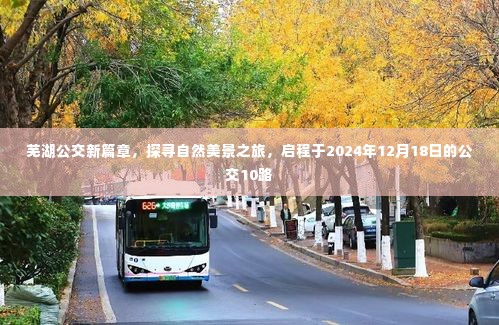 芜湖公交新篇章，探寻自然美景之旅，公交10路启程之旅（2024年12月18日）