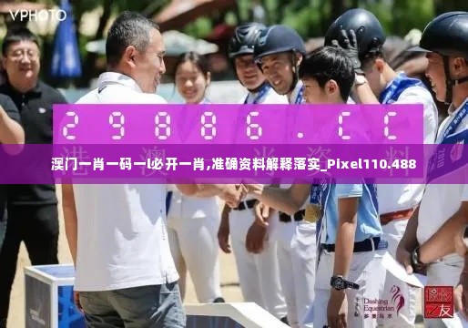 澳门一肖一码一l必开一肖,准确资料解释落实_Pixel110.488