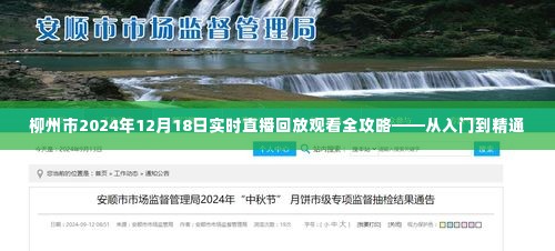 柳州市2024年直播回放观看全攻略，入门到精通，12月18日实时直播回顾