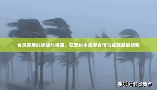 台风背后的挑战与机遇，探寻自信与成就感的旅程