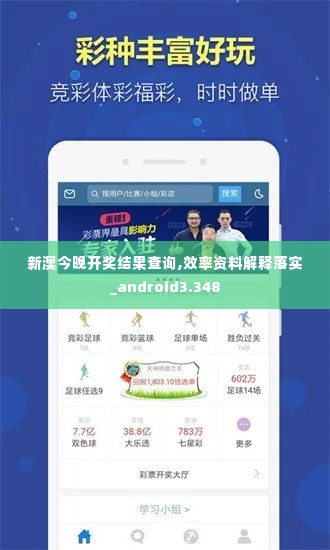 新澳今晚开奖结果查询,效率资料解释落实_android3.348