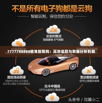 7777788888精准新跑狗：高效追踪与数据分析利器