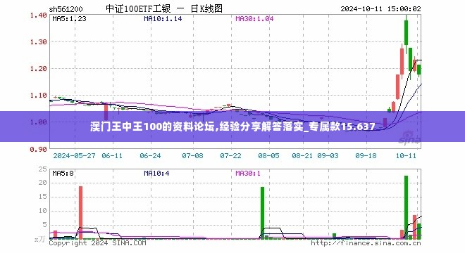 澳门王中王100的资料论坛,经验分享解答落实_专属款15.637