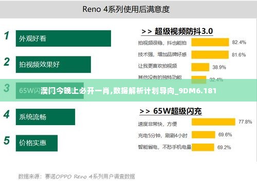 澳门今晚上必开一肖,数据解析计划导向_9DM6.181