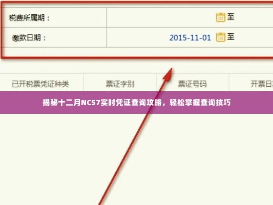 揭秘十二月NC57凭证查询攻略，轻松掌握查询技巧，实现快速查询凭证信息