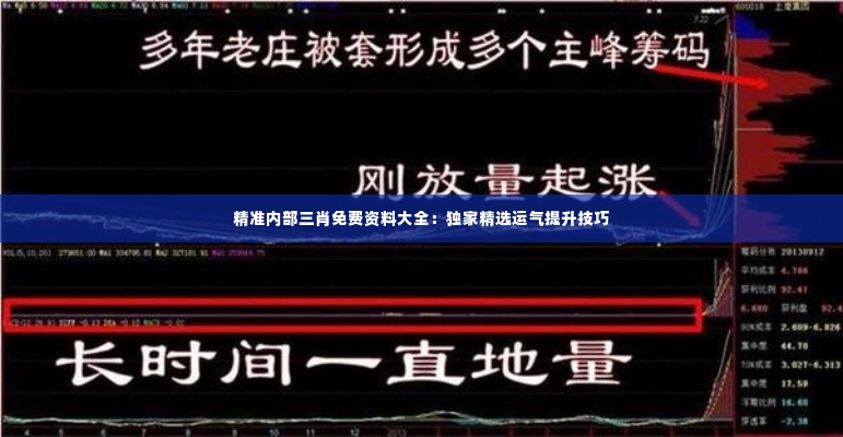 精准内部三肖免费资料大全：独家精选运气提升技巧