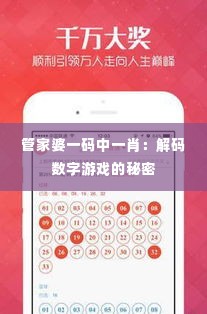 管家婆一码中一肖：解码数字游戏的秘密