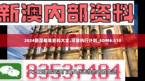 2024新澳精准资料大全,可靠执行计划_5DM6.510