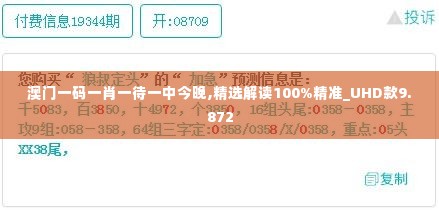 澳门一码一肖一待一中今晚,精选解读100%精准_UHD款9.872