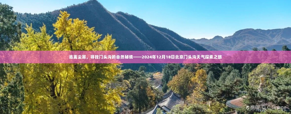 探访门头沟自然秘境，逃离尘嚣的冬日天气探索之旅（2024年12月18日）