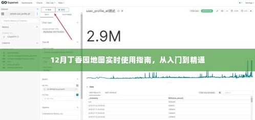 12月丁香园地图使用指南，从新手入门到精通全攻略