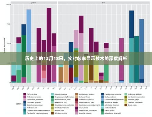 实时帧率显示技术深度解析，历史视角的12月18日探究