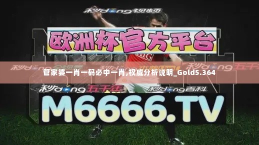 管家婆一肖一码必中一肖,权威分析说明_Gold5.364