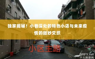 独家揭秘，小巷特色小店与未来疫情交织的微妙关系