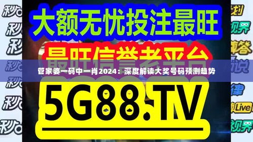 管家婆一码中一肖2024：深度解读大奖号码预测趋势