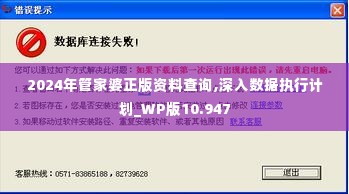 2024年管家婆正版资料查询,深入数据执行计划_WP版10.947