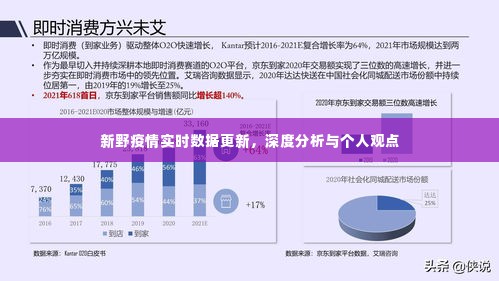 新野疫情实时数据更新及深度分析与观察