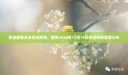 贵德疫情未来走向预测，聚焦实时动态图分析至2024年12月18日