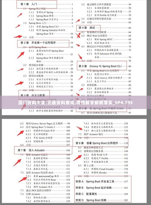 澳门资料大全,正版资料查询,理性解答解释落实_SP4.795