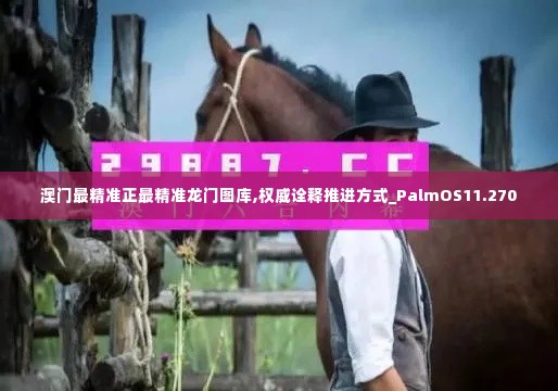 澳门最精准正最精准龙门图库,权威诠释推进方式_PalmOS11.270