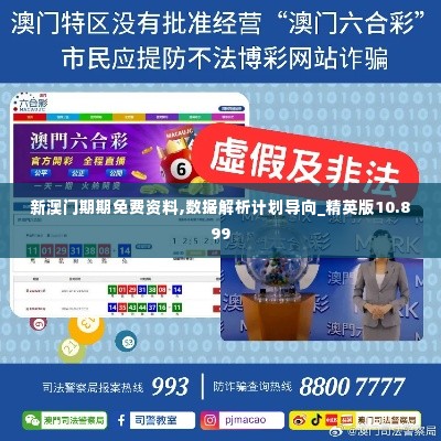 新澳门期期免费资料,数据解析计划导向_精英版10.899