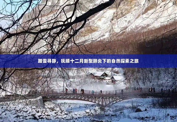 抚顺十二月，踏雪寻静之旅，新型肺炎下的自然探索挑战