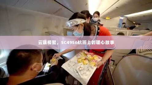 云端相聚，SC4956航班上的温情之旅