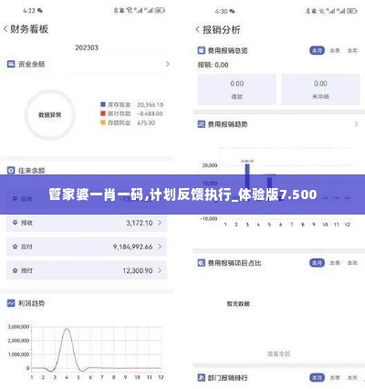 管家婆一肖一码,计划反馈执行_体验版7.500