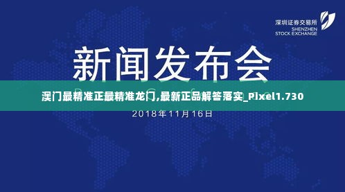 澳门最精准正最精准龙门,最新正品解答落实_Pixel1.730