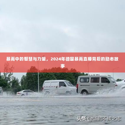 暴雨直播背后的智慧与力量，德国暴雨中的励志故事 2024年回顾