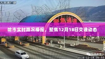 哈市实时路况播报，聚焦12月18日交通动态更新