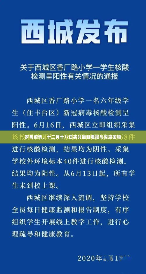 罗甸疫情最新通报与深度回顾，十二月十八日实时更新