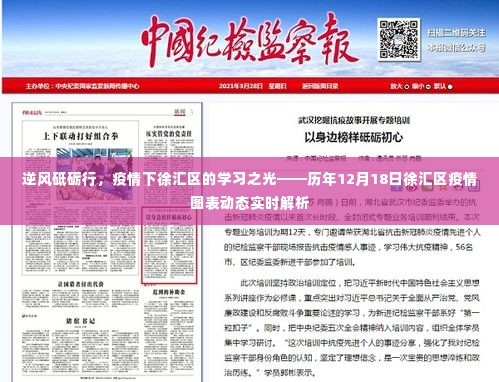 逆风破浪，徐汇区学习之光闪耀——历年疫情动态实时解析报告