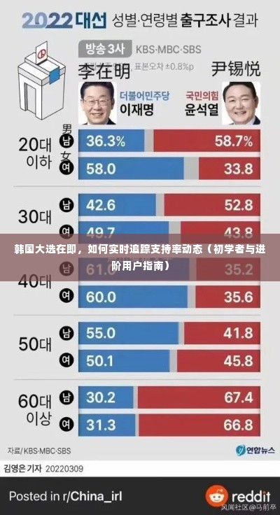 韩国大选支持率实时追踪指南，初学者与进阶用户指南全解析