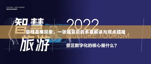 菲哥直播现象深度探讨，多重解读与观点碰撞的背后真相