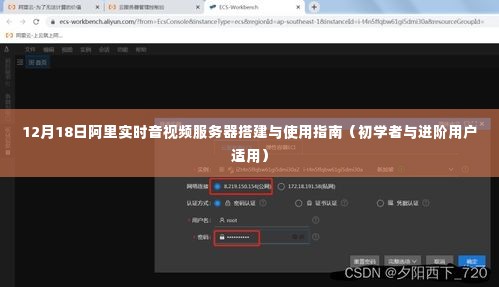 阿里实时音视频服务器搭建与使用指南（适合初学者与进阶用户）
