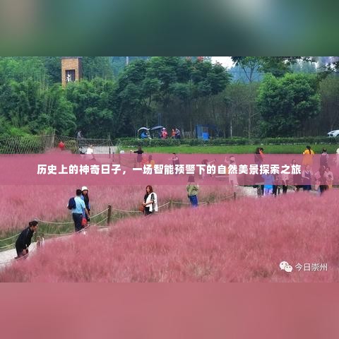 神奇日子下的自然美景探索之旅，智能预警与历史的交织