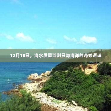 海洋奇遇日，海水质量监测与海洋的奥秘探索