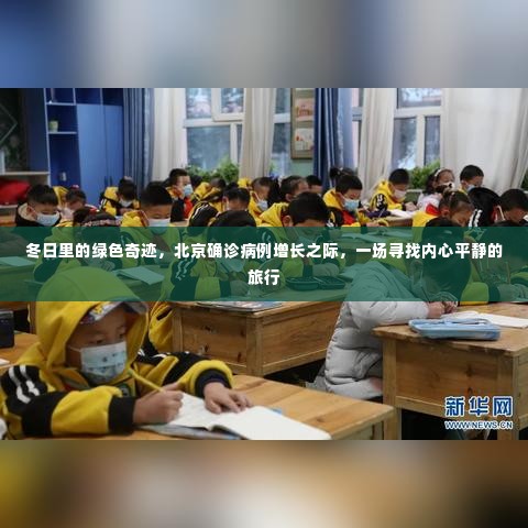 北京冬日绿色奇迹，疫情下的心灵之旅