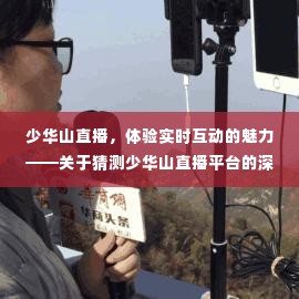 少华山直播平台深度评测，实时互动的魅力与猜测体验