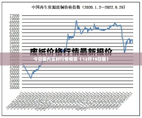 今日国内实时行情概览（最新动态，12月18日版）