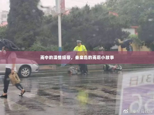 秦皇岛雨后温情纽带，雨中的小故事