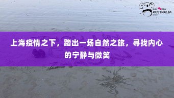 上海疫情下的自然之旅，寻找内心宁静与微笑之路